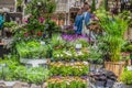 Flower farmer`s market stand with woman