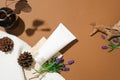 An unlabeled cosmetic tube, fresh lavender flowers, a brown glass vase, dried branches, pine cones and white fabric on a brown Royalty Free Stock Photo