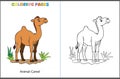 Ship of a Desert Camel Coloring Page for Kids