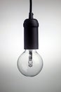Unlit hanging vintage light bulb