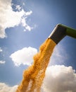 Unloading corn maize seeds