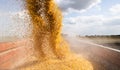 Unloading corn maize seeds Royalty Free Stock Photo