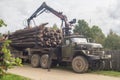 Unloading firewood from the truck in the Leningrad region of Russia.