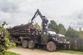 Unloading firewood from the truck in the Leningrad region of Russia.