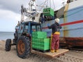 Unloading the fish, Thorup Strand, Denmark