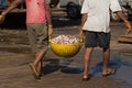 Unloading a fishing vessel in the port of southern India. Workers carry a basket with fish for weighing.