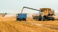 Unloading grains into truck by unloading auger. Combine harvesters cuts and threshes ripe wheat grain. Wheat harvesting Royalty Free Stock Photo