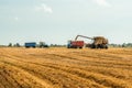 Unloading grains into truck by unloading auger. Combine harvesters cuts and threshes ripe wheat grain. Wheat harvesting Royalty Free Stock Photo