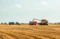 Unloading grains into truck by unloading auger. Combine harvesters cuts and threshes ripe wheat grain. Wheat harvesting Royalty Free Stock Photo