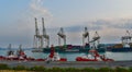 Unloading of marine ships, port of Koper