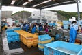Unloading Tuna fish in Japan on the dock side from a large boat