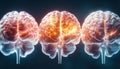 Unlocking Brain Potential How Structured Learning and Adaptive Environments Shape Behavioral Focus and Cognitive Development in