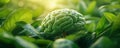 Unlocking Cognitive Potential Environmental Enrichment, Brain Development, and Adaptive Behavior Discover the profound link