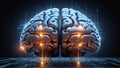 Unlocking Insights: Big Data and Artificial Intelligence Illuminate the Human Mind.
