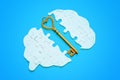 Unlocking Knowledge: Bronze Key between Divided Brain Puzzle Royalty Free Stock Photo