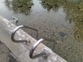 unmaintained outdoor swimming pool with algae floating on the water surface. Royalty Free Stock Photo