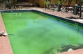 Unmaintained swimming pool with green algae Royalty Free Stock Photo