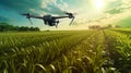 The unmanned aerial vehicle reliably provides crops with water, rising in the air