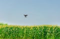 Unmanned aircraft Dorn Corn farm, agricultural automation, digital farming