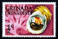 Unused postage stamp Grenada Grenadines 1976, Bleeding Tooth Nerite, Nerita peloronta