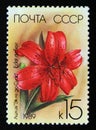 Postage stamp Soviet Union, CCCP, 1989, Eclat du Soir lily flower
