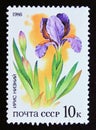 Postage stamp Soviet Union, CCCP, 1986, Iris flower