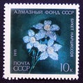 Unused postage stamp Soviet Union, CCCP, 1971, Narcissi diamond