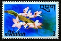 Unused post stamp Bhutan 1976, Dendrobium parishii flowers Royalty Free Stock Photo