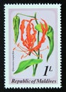 Unused post stamp Maldives 1979, Glory Lily, Gloriosa superba flower Royalty Free Stock Photo