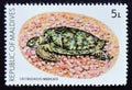 Unused post stamp Maldives 1980, Hawksbill Turtle, Eretmochelys imbricata