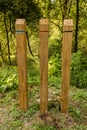 Unmarked wooden coloured trail posts in a woodland