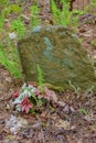 Unnamed Grave Marker in an Old Forgotten Cemetery Royalty Free Stock Photo