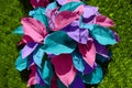 Unnatural flower in pink and purple, background, pattern