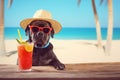 unny black dog with summer straw hat and sun glasses. Generative AI Royalty Free Stock Photo