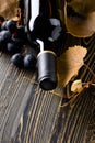 Unopened red wine bottle, vine twig, and grapes Royalty Free Stock Photo