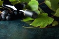 Unopened red wine bottle, vine twig, and ripe grapes on an old blue table