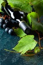 Unopened red wine bottle, vine twig, and ripe grapes on an old blue table Royalty Free Stock Photo