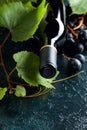 Unopened red wine bottle, vine twig, and ripe grapes on an old blue table Royalty Free Stock Photo