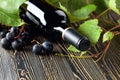 Unopened red wine bottle, vine twig, and ripe grapes on an old wooden table Royalty Free Stock Photo