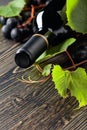 Unopened red wine bottle, vine twig, and ripe grapes on an old wooden table Royalty Free Stock Photo