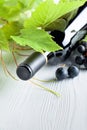 Unopened red wine bottle, vine twig, and ripe grapes on a white wooden table Royalty Free Stock Photo