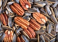 Unopened sunflower seeds and pecan nuts in filled frame format