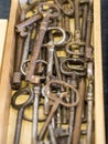 Unordered Set of Keys in a Wooden Box Royalty Free Stock Photo