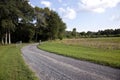 Unpaved country road and pasture