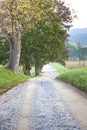 Unpaved country road and pasture