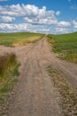 Unpaved dirt farm road through the Palouse region of Eastern Washington State on a sunny summer day
