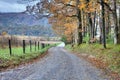 Unpaved Fall road with colorful trees Royalty Free Stock Photo