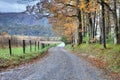 Unpaved Fall road with colorful trees