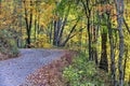 Unpaved Fall road with colorful trees