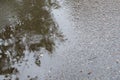 Unpaved road with many small pebbles, wet from rain, with shallow puddle with ripples on water and reflection of tree branches